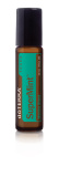 картинка doTERRA SuperMint Touch / Смесь эфирных масел мяты в роллере, 10 мл. Эфирных масел doTERRA от интернет магазина  www.aroma.family