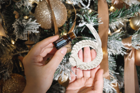 Бальзамическая пихта. Свойства и способы применения Бальзамическая пихта. Свойства и способы применения