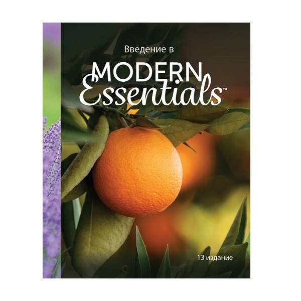 Справочник Введение в Modern Essentials