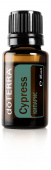 картинка Cypress  Essential Oil  / Кипарис (Cupressus sempervirens), 15 мл Эфирных масел doTERRA от интернет магазина  www.aroma.family