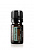 картинка Black spruce  Essential Oil / Черная ель (Picea mariana), 5 мл Эфирных масел doTERRA от интернет магазина  www.aroma.family