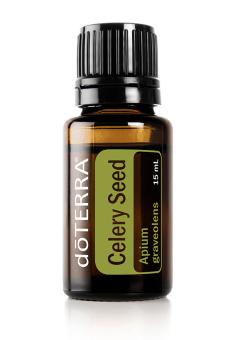 Celery Seed  Essential Oil / Сельдерей (Apium graveolens), 15 мл