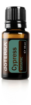 Cypress / Кипарис (Cupressus sempervirens), 15 мл