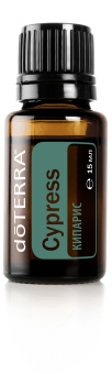 Cypress  Essential Oil  / Кипарис (Cupressus sempervirens), 15 мл