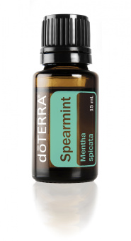 Spearmint  Essential Oil / Садовая мята (Mentha spicata), 15 мл