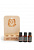 картинка Sauna Kit / Набор из трех масел для сауны на деревянной подставке Эфирных масел doTERRA от интернет магазина  www.aroma.family