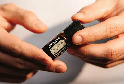 Акция ДЕКАБРЯ 2025