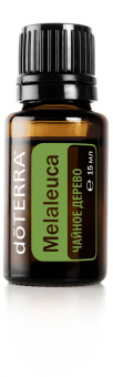 Melaleuca / Чайное дерево (Melaleuca alternifolia), 15 мл