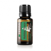 картинка Holiday Peace Blend / Торжество, смесь эфирных масел, 15 мл Эфирных масел doTERRA от интернет магазина  www.aroma.family