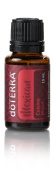 картинка  Mexican Cuisine Blend / Мексика, смесь масел 15 мл Эфирных масел doTERRA от интернет магазина  www.aroma.family