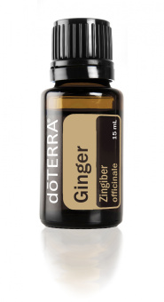 Ginger  Essential Oil / Имбирь (Ginger officinale), 15 мл