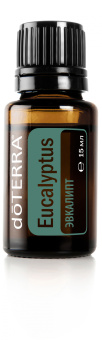 Eucalyptus  Essential Oil / Эвкалипт (Eucalyptus radiata), 15 мл