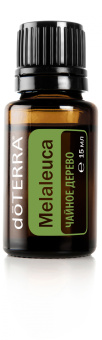 Melaleuca  Essential Oil / Чайное дерево (Melaleuca alternifolia), 15 мл